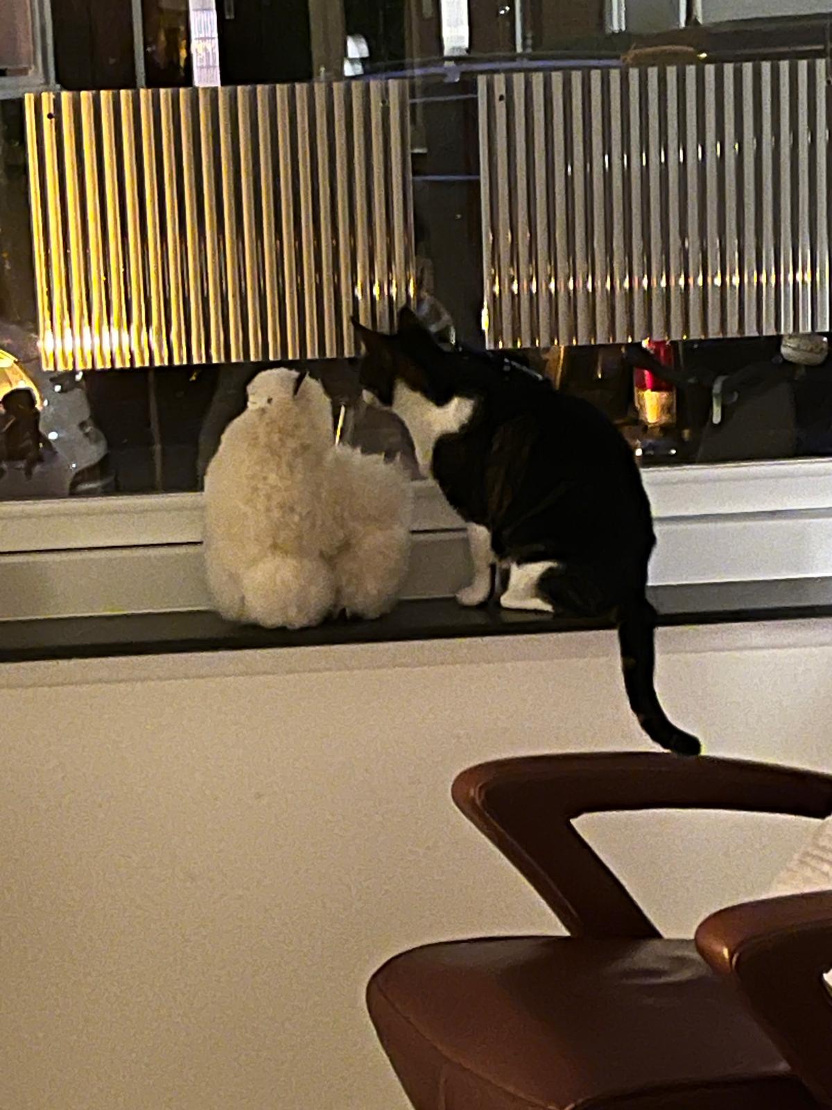 PHOTO-2025-03-15-08-57-18 9.JPG